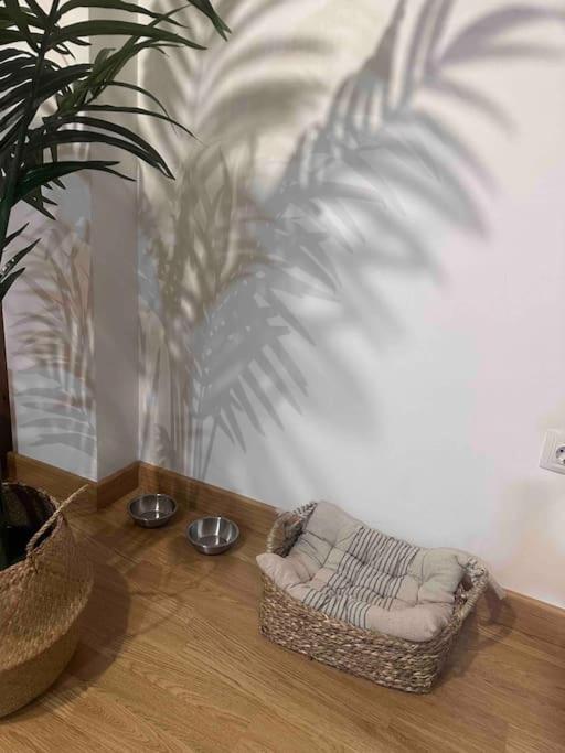 Apartamento El Picu Collanzo Ngoại thất bức ảnh