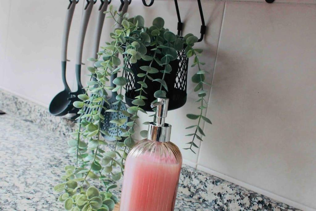 Apartamento El Picu Collanzo Ngoại thất bức ảnh