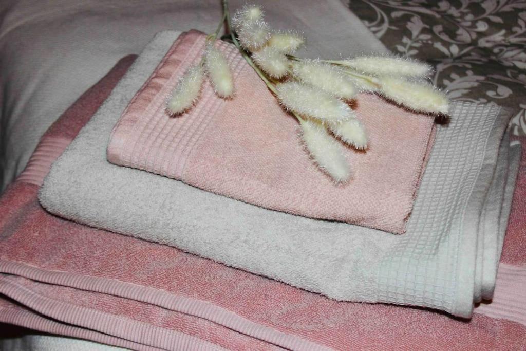 Apartamento El Picu Collanzo Ngoại thất bức ảnh
